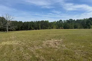 490 Springhill Church Rd, Hamlet, NC 28345 - Photo 50