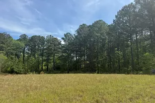 490 Springhill Church Rd, Hamlet, NC 28345 - Photo 42