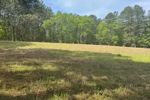 490 Springhill Church Rd, Hamlet, NC 28345 - Photo 38