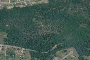 000 Tom Myers Rd, Lillington, NC 27546 - Photo 1