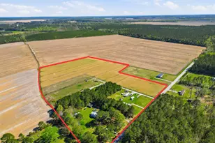 687 Alligator Creek Rd, Merritt, NC 28556 - Photo 2