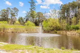 230 Causey Rd, Vass, NC 28394 - Photo 36