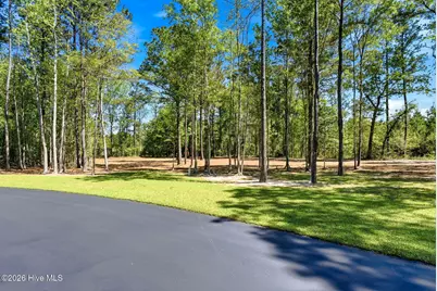 375 Wolfridge Road NE, Leland, NC 28451 - Photo 14