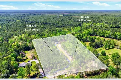 383 Wolfridge Road NE, Leland, NC 28451 - Photo 1