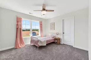 115 Running Deer Ln, Princeton, NC 27569 - Photo 48