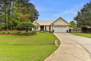 203 Borgo Ct, Havelock, NC 28532 - Photo 42