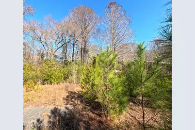 1375 Piney Green Road, Jacksonville, NC 28546 - Photo 4