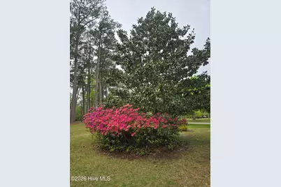 202 Haven Way S, Washington, NC 27889 - Photo 46