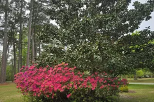 202 Haven Way S, Washington, NC 27889 - Photo 46