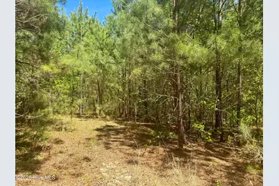 [Address not provided], Wadesboro, NC 28170 - Photo 28
