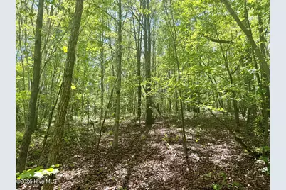 [Address not provided], Wadesboro, NC 28170 - Photo 30