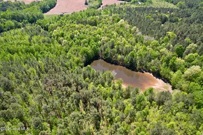 [Address not provided], Wadesboro, NC 28170 - Photo 14