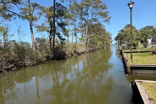 141 Williams Dr, Knotts Island, NC 27950 - Photo 22