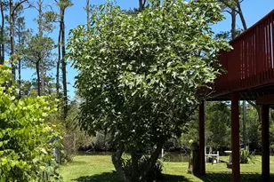 141 Williams Dr, Knotts Island, NC 27950 - Photo 18