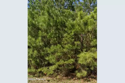 111 Windsor Lane, Edenton, NC 27932 - Photo 1