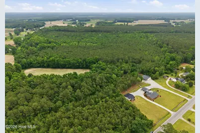 0 Off Gay Road, Walstonburg, NC 27888 - Photo 10
