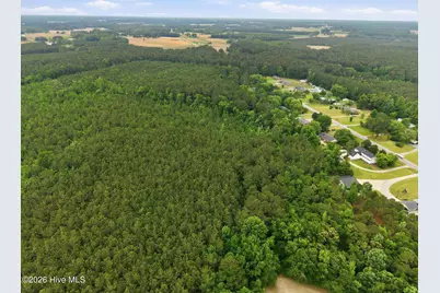 0 Off Gay Road, Walstonburg, NC 27888 - Photo 6