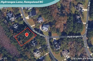 135 Hydrangea Ln, Hampstead, NC 28443 - Photo 1