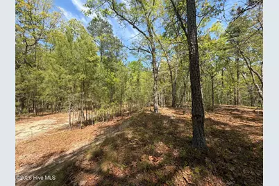 1016R Cedar Lane, Seven Lakes, NC 27376 - Photo 4