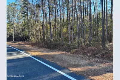 0 Biggs Road, Rowland, NC 28383 - Photo 1