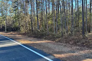 0 Biggs Rd, Rowland, NC 28383 - Photo 1