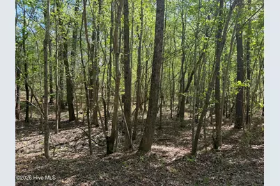 1014R Cedar Lane, Seven Lakes, NC 27376 - Photo 12