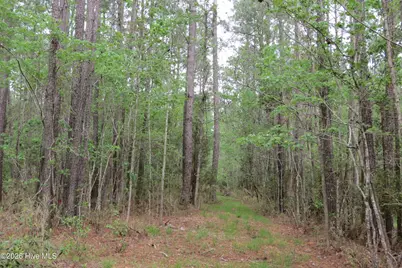 336 Mills Road, Oriental, NC 28571 - Photo 6