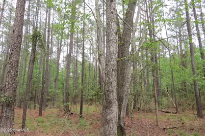 336 Mills Road, Oriental, NC 28571 - Photo 10