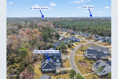 3886 Big Magnolia Way, Southport, NC 28461 - Photo 44
