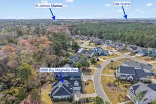 3886 Big Magnolia Way, Southport, NC 28461 - Photo 44