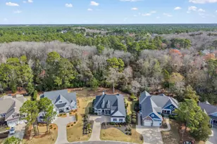 3886 Big Magnolia Way, Southport, NC 28461 - Photo 42
