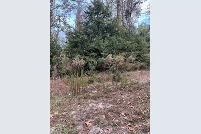 224 Redwood Road, Southport, NC 28461 - Photo 1