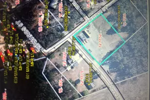 0 Pickett and Croom St, Magnolia, NC 28453 - Photo 1