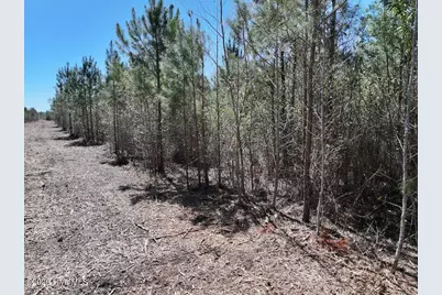 0 Guinea Mill Road, Ernul, NC 28527 - Photo 22