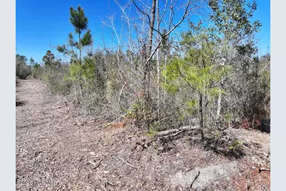 0 Guinea Mill Road, Ernul, NC 28527 - Photo 16