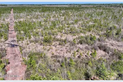 0 Guinea Mill Road, Ernul, NC 28527 - Photo 14