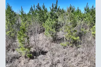 0 Guinea Mill Road, Ernul, NC 28527 - Photo 20