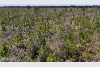 0 Guinea Mill Road, Ernul, NC 28527 - Photo 18