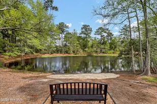 194 Hampton Court, Hampstead, NC 28443 - Photo 46