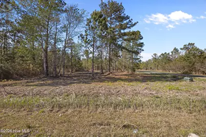 661 Vandemere Creek Drive, Vandemere, NC 28587 - Photo 4