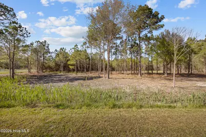 699 Vandemere Creek Drive, Vandemere, NC 28587 - Photo 6