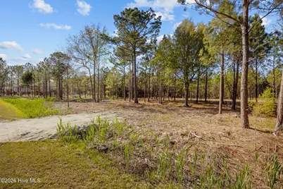 699 Vandemere Creek Drive, Vandemere, NC 28587 - Photo 14