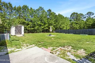 311 Snow Bell Ct, Richlands, NC 28574 - Photo 32