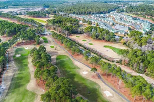 928 Great Egret Cir SW, Sunset Beach, NC 28468 - Photo 56