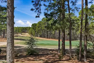 142 Hunter Trail, Southern Pines, NC 28387 - Photo 48
