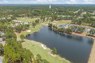 232 Claret Ct, Southern Pines, NC 28387 - Photo 44