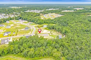 30 Dragonfly Ln, Hampstead, NC 28443 - Photo 14