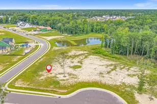 30 Dragonfly Ln, Hampstead, NC 28443 - Photo 4
