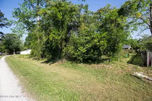 117 Whitman Ave, Castle Hayne, NC 28429 - Photo 32