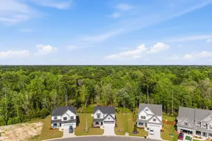 177 Tilloo Cut Wy, Hampstead, NC 28443 - Photo 60